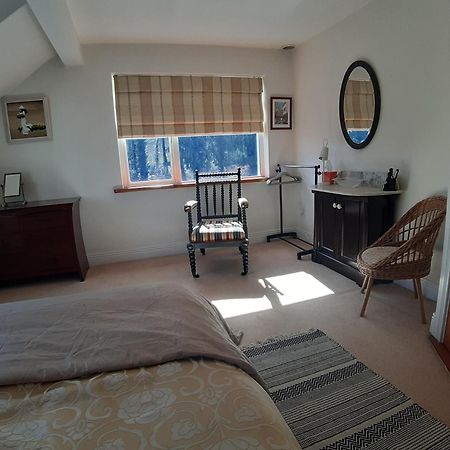 Monasterevin Kyleard Ryan B&B 외부 사진