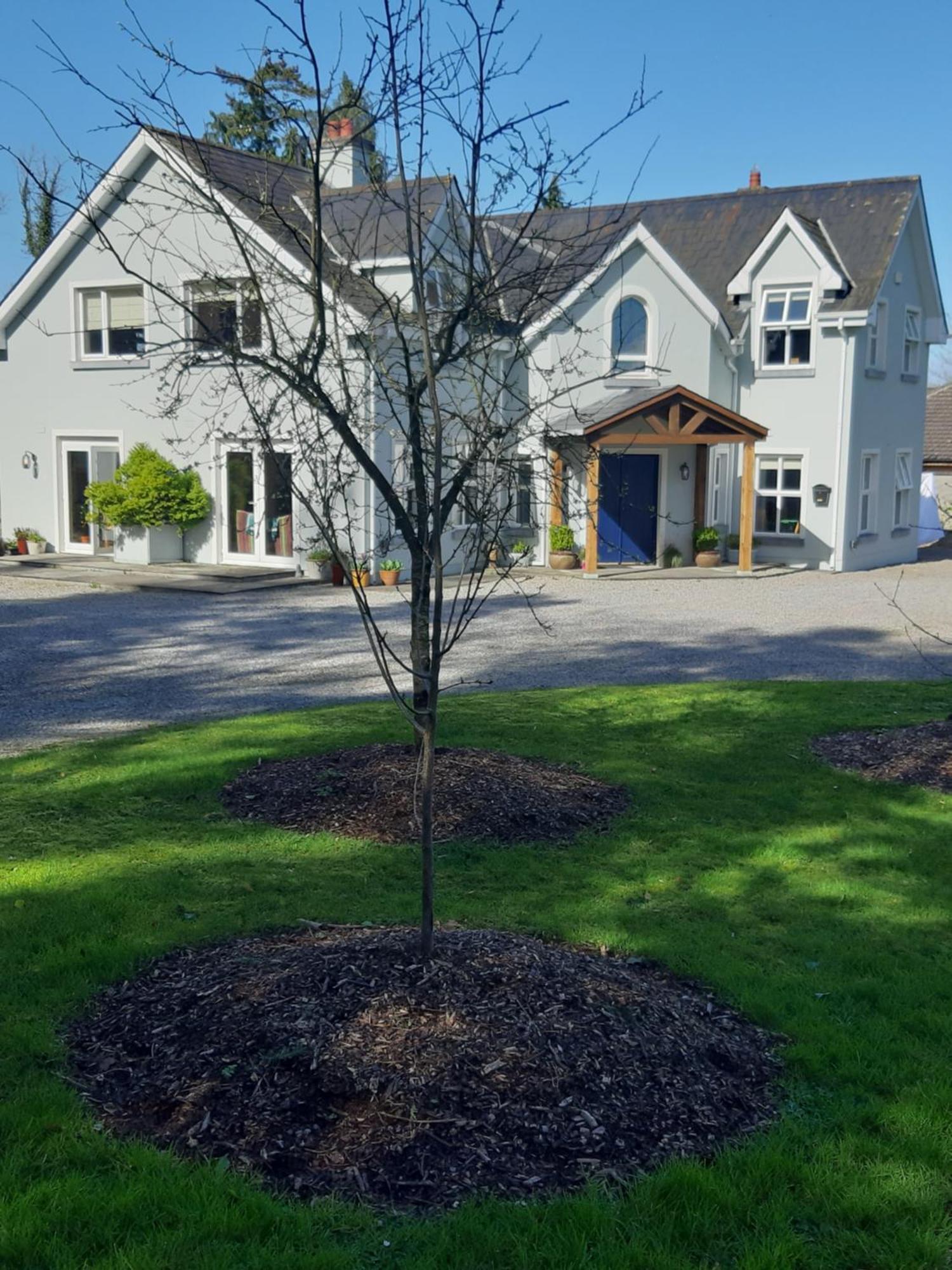 Monasterevin Kyleard Ryan B&B 외부 사진